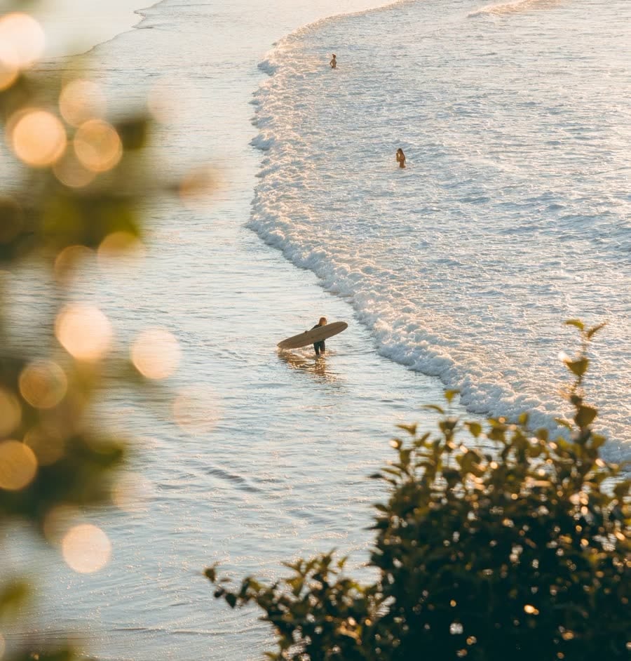 A surfer walking out through the shallows at first light